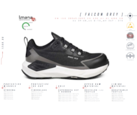 falcongrey2